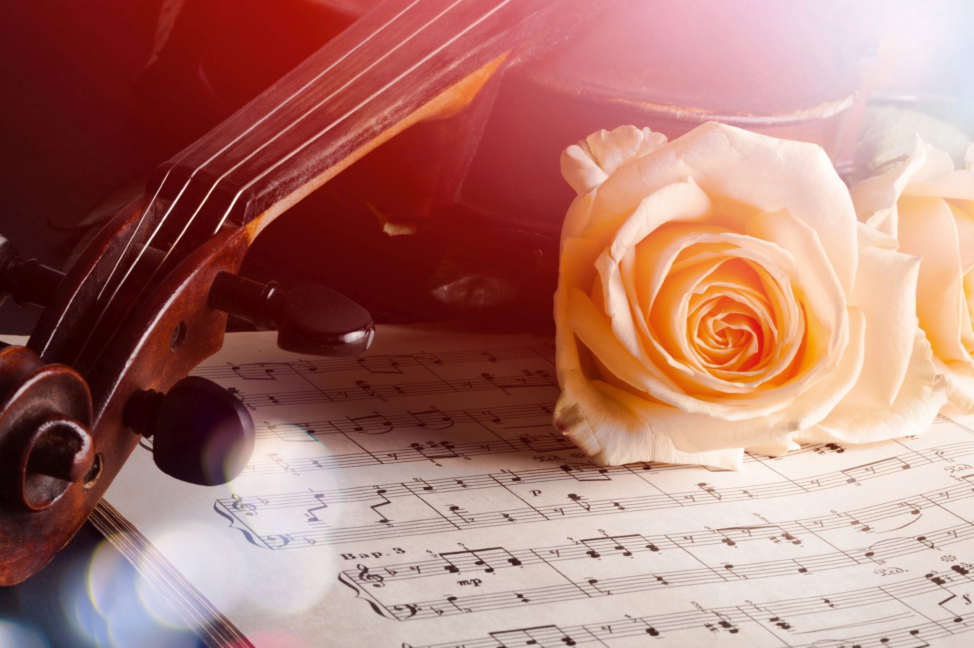 Teilnehmer für ein Musik-Quiz